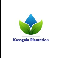 Kasagala Green Plantation Kurunegala Branch logo