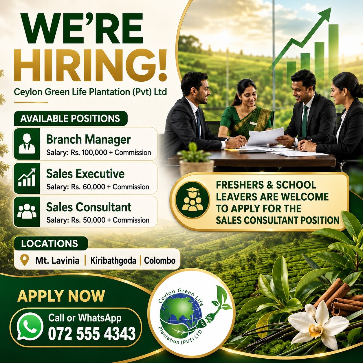 Sales Consultant