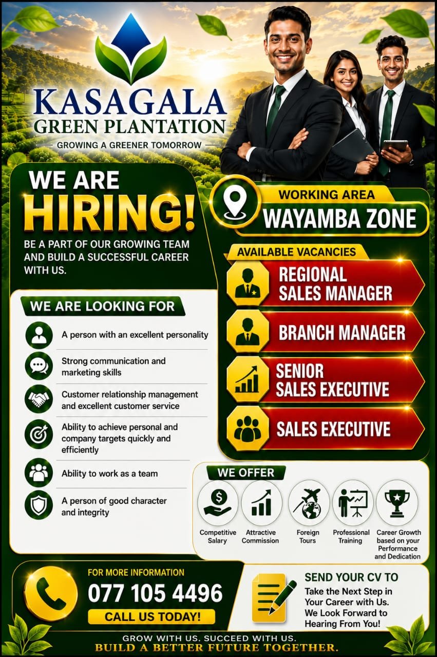 Senior Sales Executive