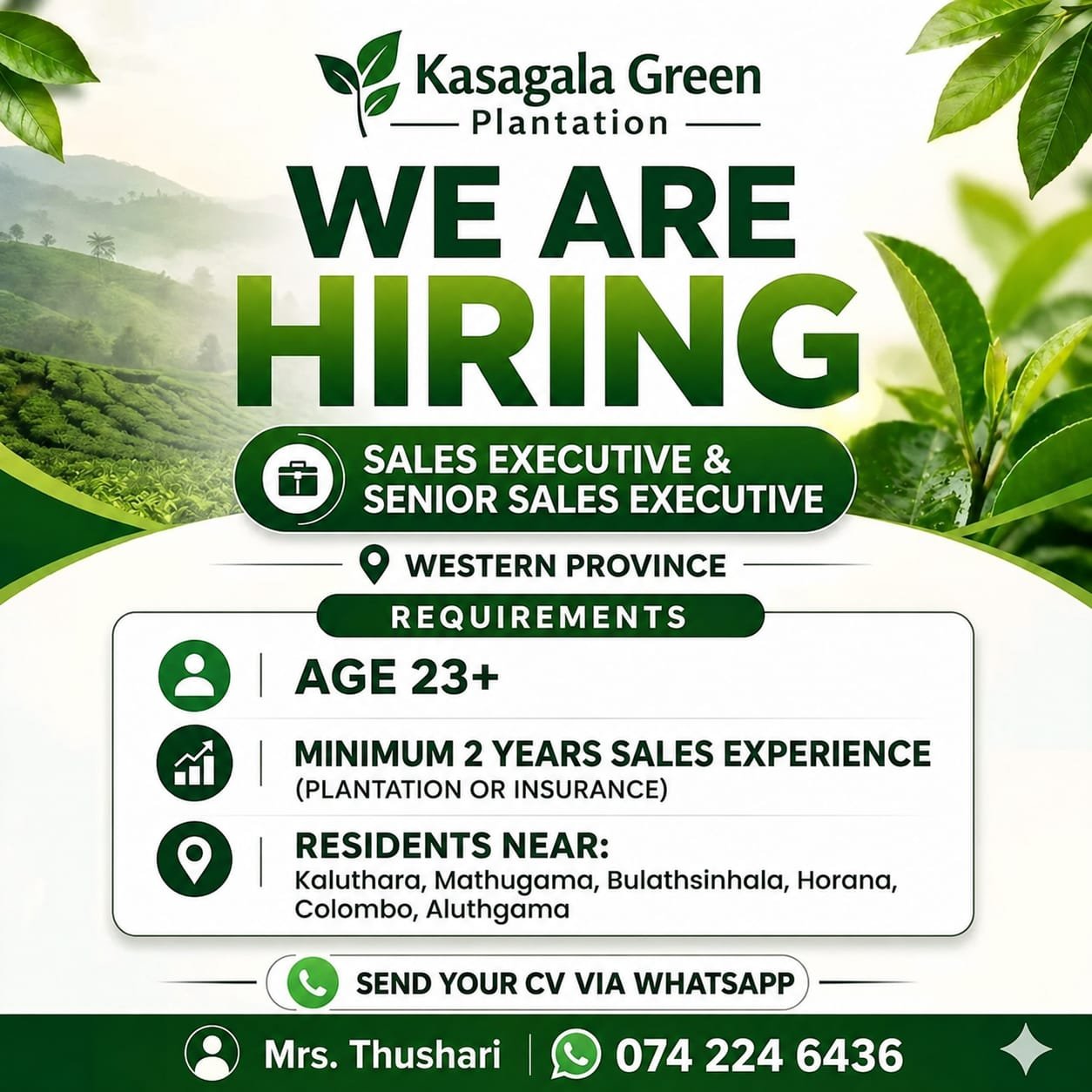 Senior Sales Executive